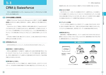 語学・辞書・学習参考書 Salesforce for Beginners 617GQjk-5xL.jpg